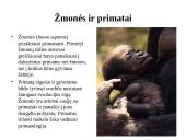 Primatai istorijoje 9 puslapis