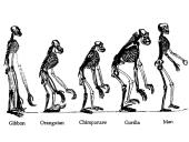 Primatai istorijoje 10 puslapis
