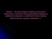 Profesinė etika ir etiketas 4 puslapis