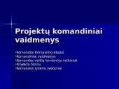 Projektų komandiniai vaidmenys