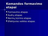Projektų komandiniai vaidmenys 2 puslapis