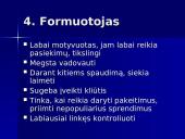 Projektų komandiniai vaidmenys 11 puslapis