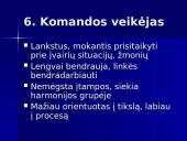 Projektų komandiniai vaidmenys 13 puslapis