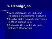 Projektų komandiniai vaidmenys 15 puslapis