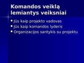 Projektų komandiniai vaidmenys 17 puslapis