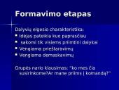 Projektų komandiniai vaidmenys 3 puslapis