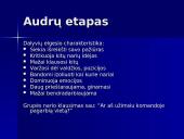 Projektų komandiniai vaidmenys 4 puslapis