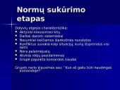 Projektų komandiniai vaidmenys 5 puslapis