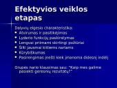 Projektų komandiniai vaidmenys 6 puslapis