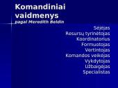 Projektų komandiniai vaidmenys 7 puslapis