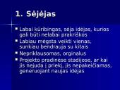 Projektų komandiniai vaidmenys 8 puslapis