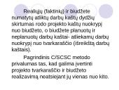Projekto kaštų valdymas ir biudžeto planavimas 11 puslapis