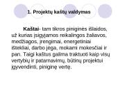 Projekto kaštų valdymas ir biudžeto planavimas 3 puslapis