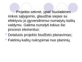 Projekto kaštų valdymas ir biudžeto planavimas 4 puslapis