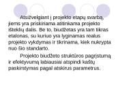 Projekto kaštų valdymas ir biudžeto planavimas 7 puslapis
