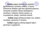 Projekto kaštų valdymas ir biudžeto planavimas 8 puslapis