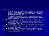 Protokolas ir etiketas Čekijoje ir Slovakijoje 14 puslapis