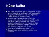 Protokolas ir etiketas Čekijoje ir Slovakijoje 10 puslapis