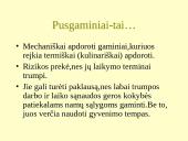 Pusgaminiai maisto racione 2 puslapis