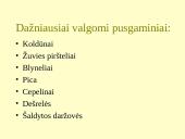 Pusgaminiai maisto racione 14 puslapis