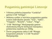 Pusgaminiai maisto racione 4 puslapis