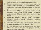 R. Solou ekonominio augimo modelis ir jo praktinė reikšmė 13 puslapis
