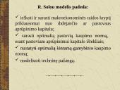 R. Solou ekonominio augimo modelis ir jo praktinė reikšmė 5 puslapis