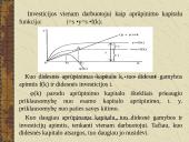 R. Solou ekonominio augimo modelis ir jo praktinė reikšmė 8 puslapis