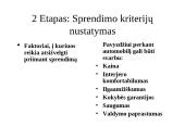 Racionalus sprendimo priėmimo procesas 3 puslapis