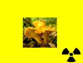 Radioaktyvios spinduliuotės poveikis gyvajam organizmui 14 puslapis