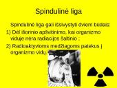 Radioaktyvios spinduliuotės poveikis gyvajam organizmui 8 puslapis