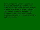 Radioaktyvumo poveikis žmogaus organizmui 11 puslapis