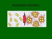 Radioaktyvumo poveikis žmogaus organizmui 18 puslapis