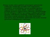 Radioaktyvumo poveikis žmogaus organizmui 4 puslapis