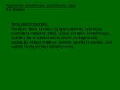 Radioaktyvumo poveikis žmogaus organizmui 7 puslapis