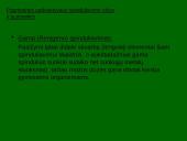 Radioaktyvumo poveikis žmogaus organizmui 8 puslapis