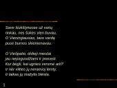 Raineris Marija Rilkė (Rainer Maria Rilke) 13 puslapis