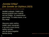 Raineris Marija Rilkė (Rainer Maria Rilke) 19 puslapis