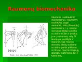 Raumuo, raumenų biomechanika ir sąnariai  3 puslapis