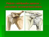 Raumuo, raumenų biomechanika ir sąnariai  6 puslapis