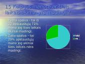 Regėjimo analizė: Kaip aš matau 13 puslapis