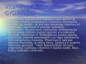 Regėjimo analizė: Kaip aš matau 6 puslapis