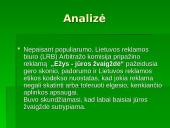 Reklama ir etika: mobiliojo ryšio bendrovės 13 puslapis