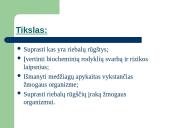 Riebalų rūgštys. Jų poveikis žmogaus organizmui 2 puslapis