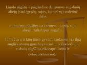 Riebalų rūgštys. Jų poveikis žmogaus organizmui 9 puslapis