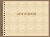 Rinkimų kampanijų ir politinių partijų finansavimas 13 puslapis