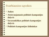Rinkimų kampanijų ir politinių partijų finansavimas 3 puslapis