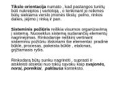 Rinkodaros samprata 6 puslapis