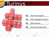 Rizika ir pelnas: visada šalia 2 puslapis