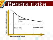 Rizika ir pelnas: visada šalia 13 puslapis